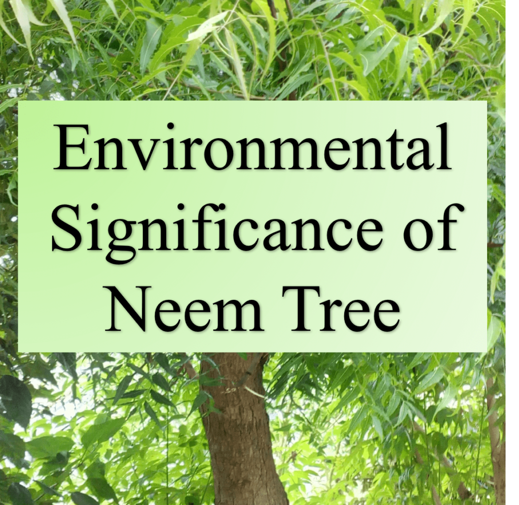 Environmental Significance of Neem Tree