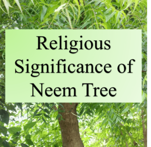 Religious Significance of Neem Tree