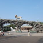 Discover the Enchantment of Sardar Patel Zoological Park - A Wildlife Haven near 'The Statue of Unity